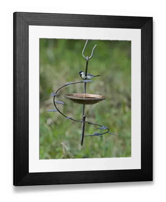 Framed Print : 004412 Framed Print : 004412