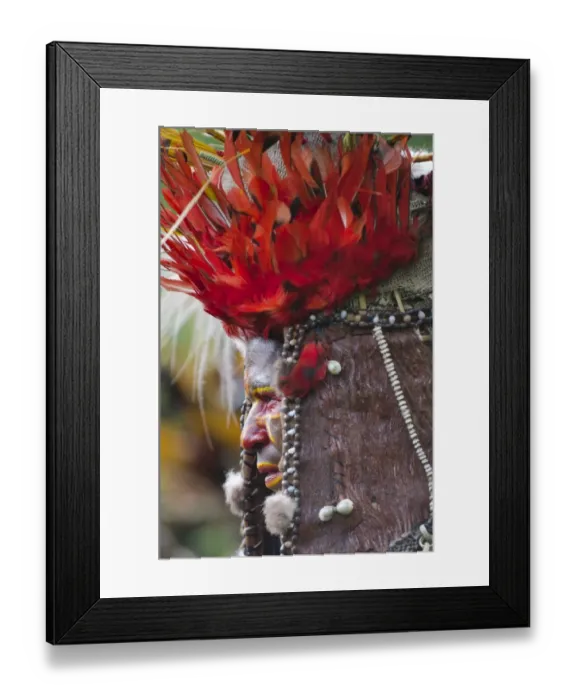 Framed Print : Juiwika Tribe from Western Highlands at Sing-sing at the Paiya Show in Western Highlands