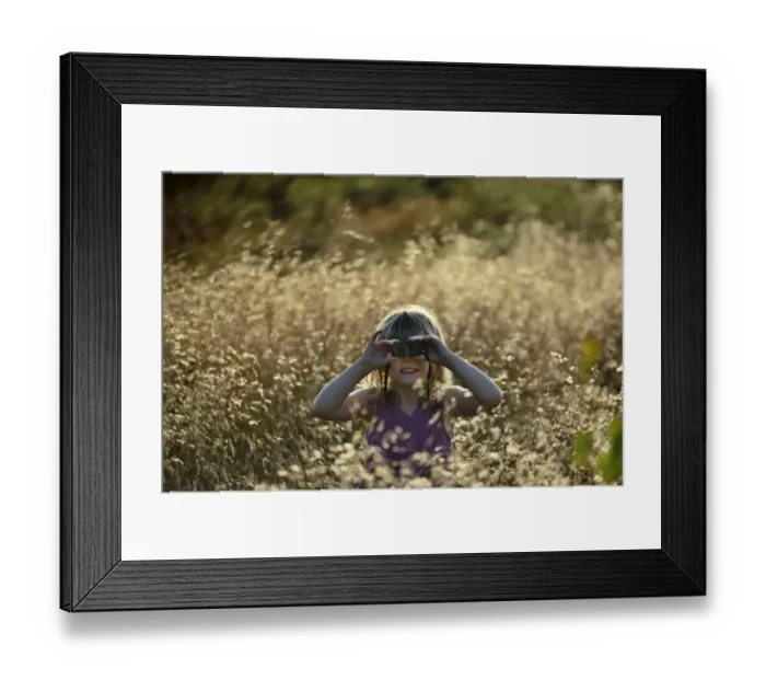 Framed Print : Young girl bird watching in meadow on a summer evening in Norfolk Framed Print : Young girl bird watching in meadow on a summer evening in Norfolk