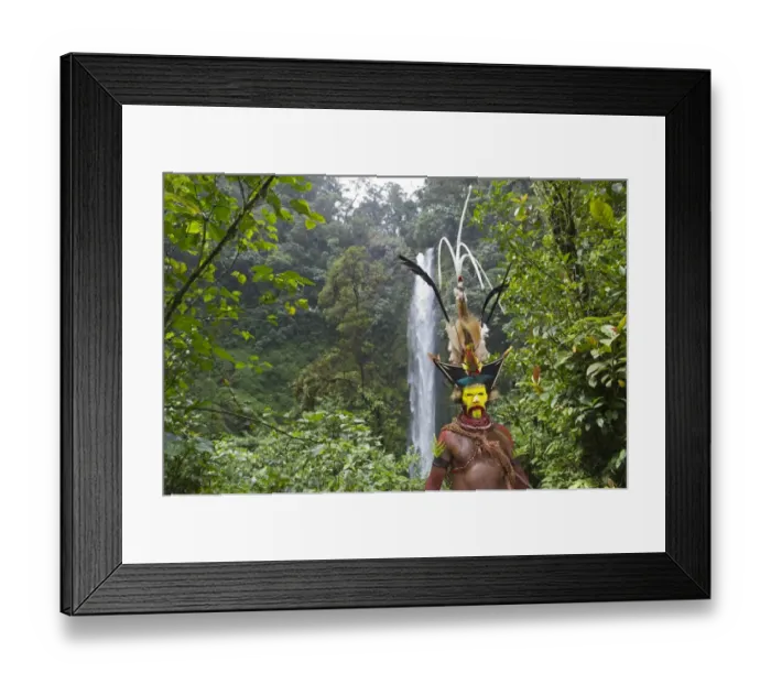 Framed Print : Timan Tumbu a Huli Wigman from the Tari Valley Highlands Papua New Guinea dressed Framed Print : Timan Tumbu a Huli Wigman from the Tari Valley Highlands Papua New Guinea dressed