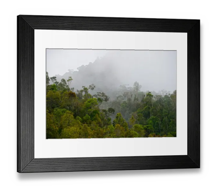 Framed Print : Tropical montane forest in Western Highlands near Paiya Papua New Guinea Framed Print : Tropical montane forest in Western Highlands near Paiya Papua New Guinea