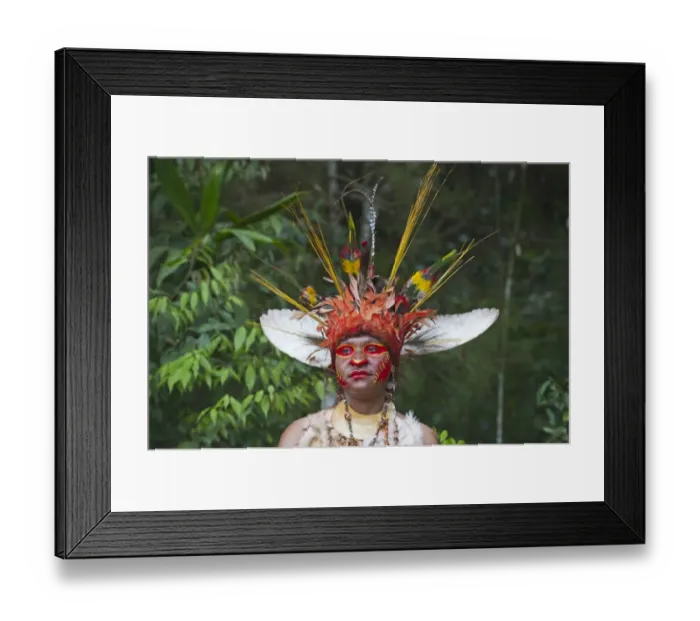 Framed Print : Juiwika Tribe from Western Highlands at Sing-sing at the Paiya Show in Western Highlands Framed Print : Juiwika Tribe from Western Highlands at Sing-sing at the Paiya Show in Western Highlands