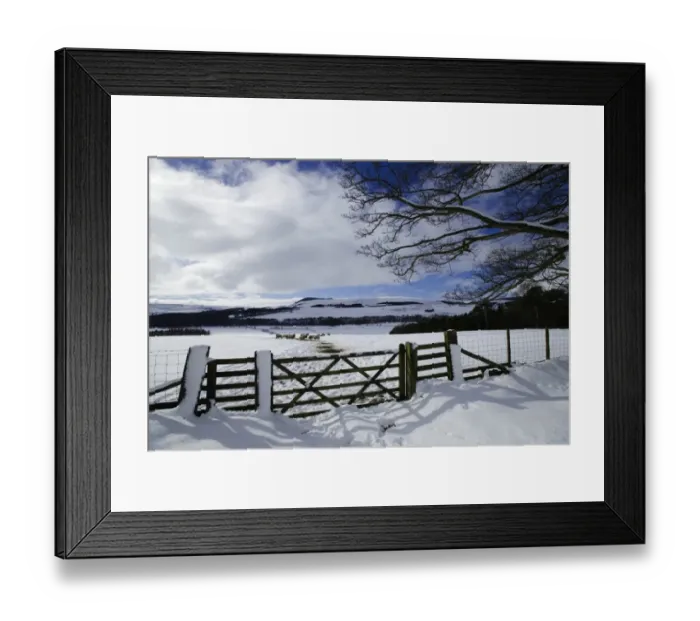 Framed Print : 002649 Framed Print : 002649