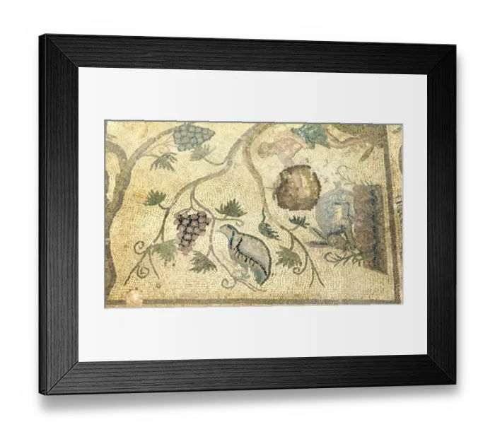 Framed Print : Partridge - Chukar mosaic Paphos in Cyprus, one of the strongholds of the Ptolemaic kings Framed Print : Partridge - Chukar mosaic Paphos in Cyprus, one of the strongholds of the Ptolemaic kings