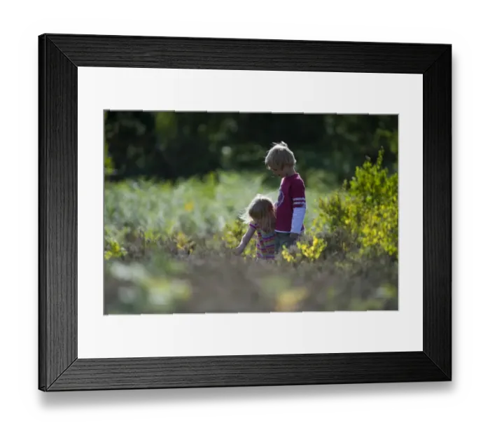 Framed Print : Brother and sister exploring a heath Norfolk summer Framed Print : Brother and sister exploring a heath Norfolk summer