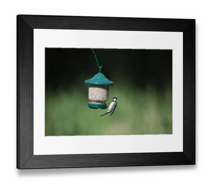 Framed Print : 005705 Framed Print : 005705