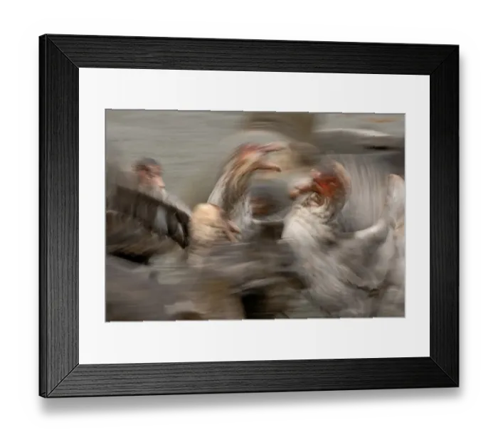 Framed Print : Southern Giant Petrels fighting over a penguin carcass St Andrews Bay South Georgia Framed Print : Southern Giant Petrels fighting over a penguin carcass St Andrews Bay South Georgia