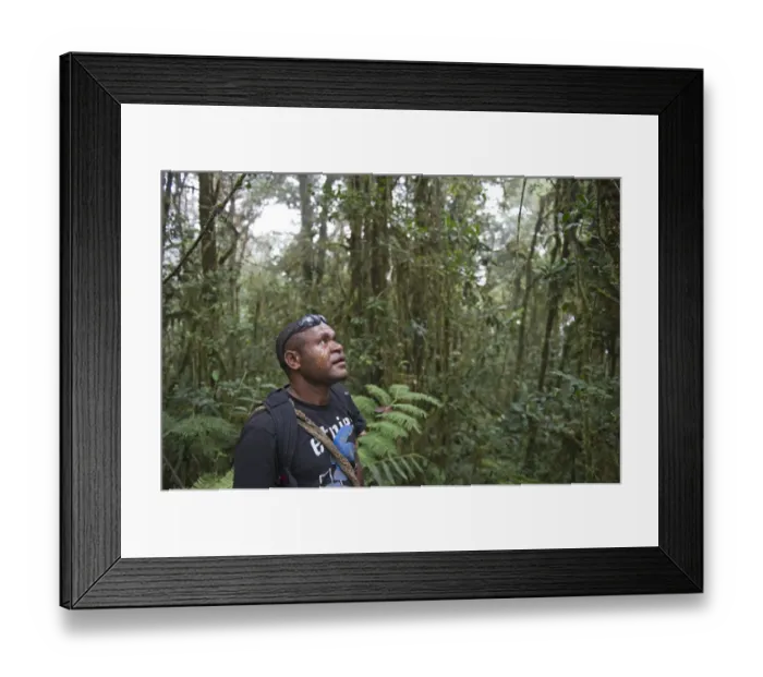 Framed Print : Alus a guide at Makara Lodge Tari Papua New Guinea Framed Print : Alus a guide at Makara Lodge Tari Papua New Guinea