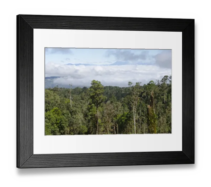 Framed Print : View of rainforest from Highlands Highway close to Tari Gap Tari Papua New Guinea Framed Print : View of rainforest from Highlands Highway close to Tari Gap Tari Papua New Guinea