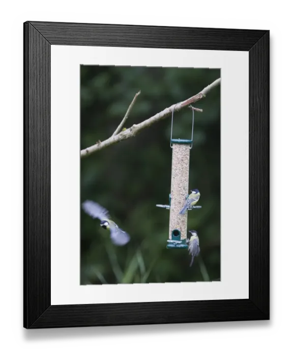 Framed Print : 004393 Framed Print : 004393