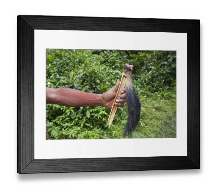 Framed Print : Huli Wigman Hale Johu showing his purse a hollowed out cassowary leg bone where money is kept