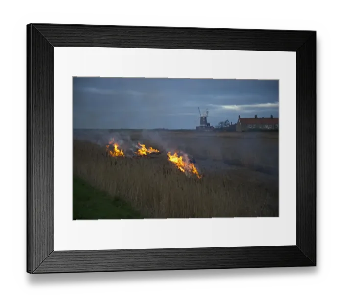 Framed Print : Reed burning Cley Norfolk winter Framed Print : Reed burning Cley Norfolk winter