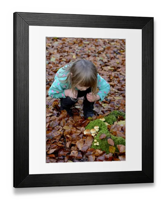 Framed Print : Young girl looking at fungi in autumn Norfolk Framed Print : Young girl looking at fungi in autumn Norfolk