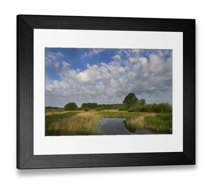 Framed Print : Lakenheath RSPB Reserve Suffolk Framed Print : Lakenheath RSPB Reserve Suffolk