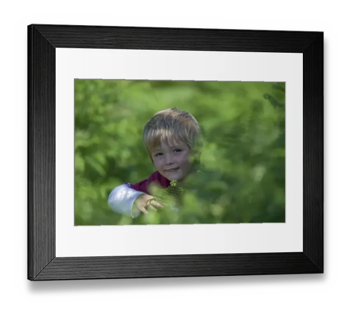 Framed Print : Young boy playing among bracken Norfolk summer Framed Print : Young boy playing among bracken Norfolk summer