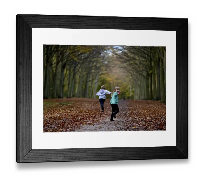 Framed Print : Young boy and girl playing in woodland in autumn Norfolk UK Framed Print : Young boy and girl playing in woodland in autumn Norfolk UK