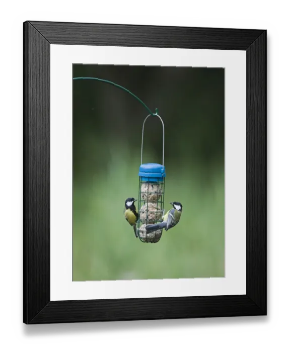 Framed Print : 005982