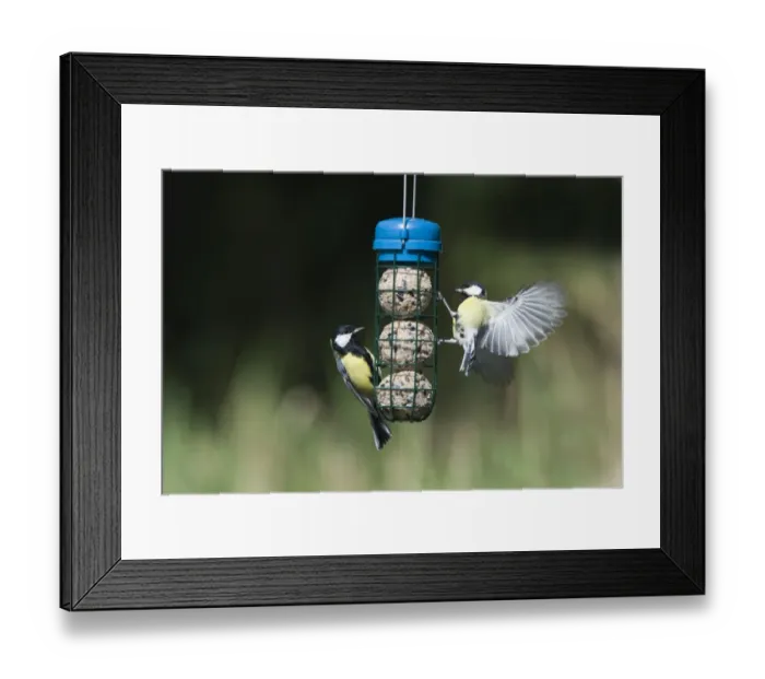 Framed Print : 005649 Framed Print : 005649