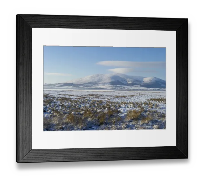 Framed Print : View across frozen Solway at Caerlaverock NNR nr Dumfries Solway Firth Scotland December Framed Print : View across frozen Solway at Caerlaverock NNR nr Dumfries Solway Firth Scotland December