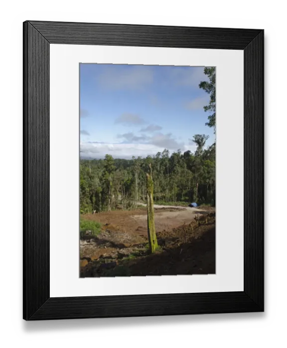 Framed Print : Ranforest clearance / logging near Tari Papua New Guinea Framed Print : Ranforest clearance / logging near Tari Papua New Guinea