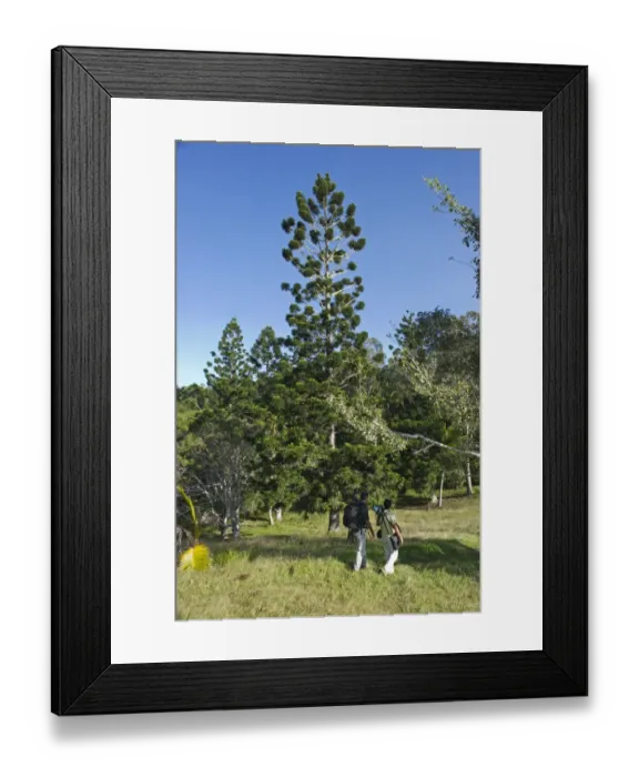 Framed Print : Birdwatchers in Varirata National Park Papua New Guinea