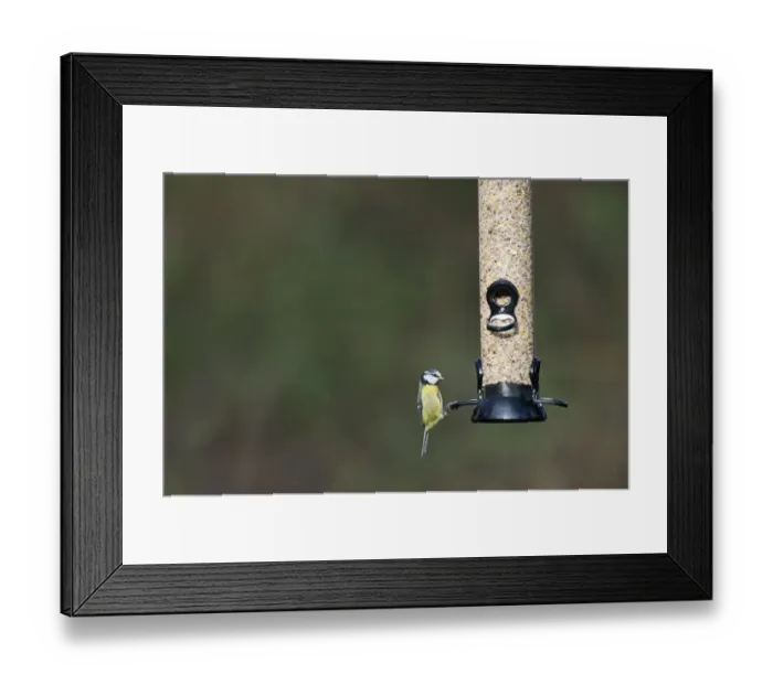 Framed Print : 005789 Framed Print : 005789