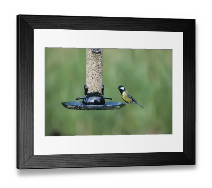 Framed Print : 005691 Framed Print : 005691
