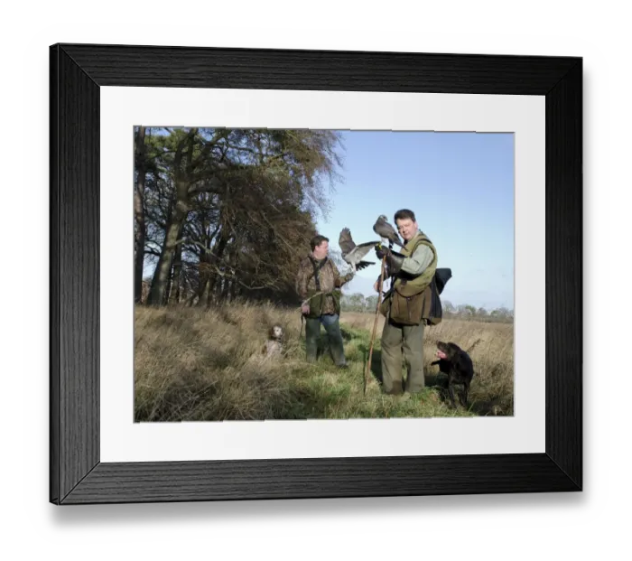 Framed Print : hawk hawking falconry hunting hunter goshawk Framed Print : hawk hawking falconry hunting hunter goshawk