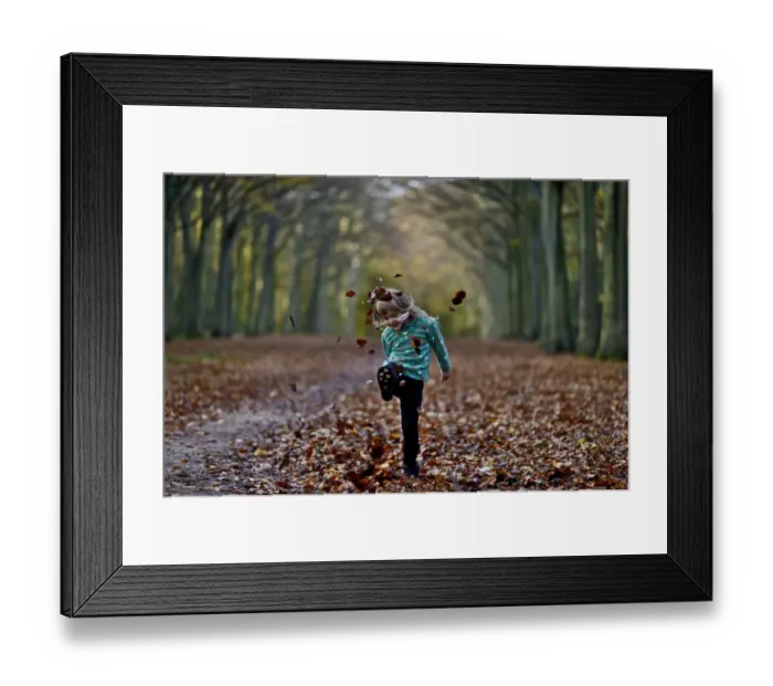 Framed Print : Young girl kicking fallen leaves in woodland Norfolk UK Framed Print : Young girl kicking fallen leaves in woodland Norfolk UK