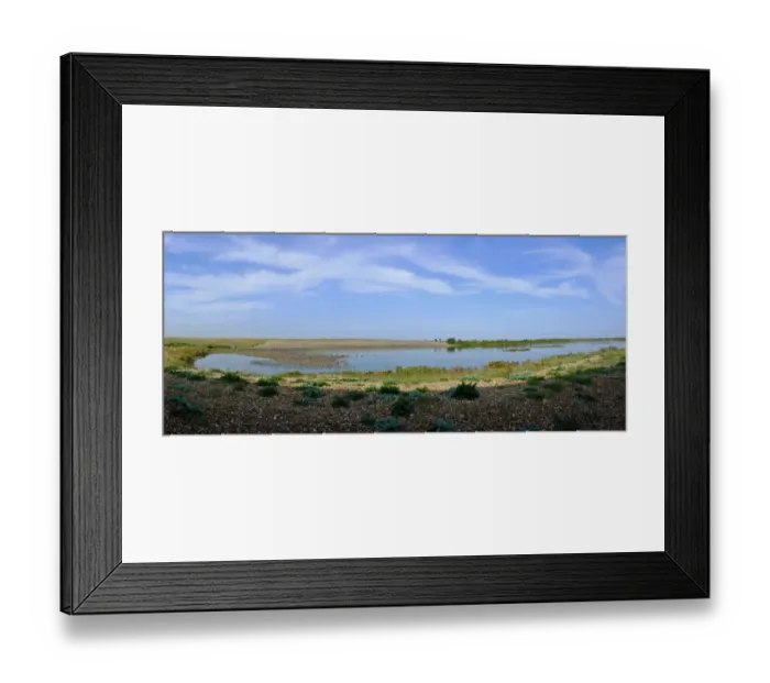 Framed Print : View of wader high tide roost on gravel pits at Snettisham RSPB reserve on the Wash Framed Print : View of wader high tide roost on gravel pits at Snettisham RSPB reserve on the Wash