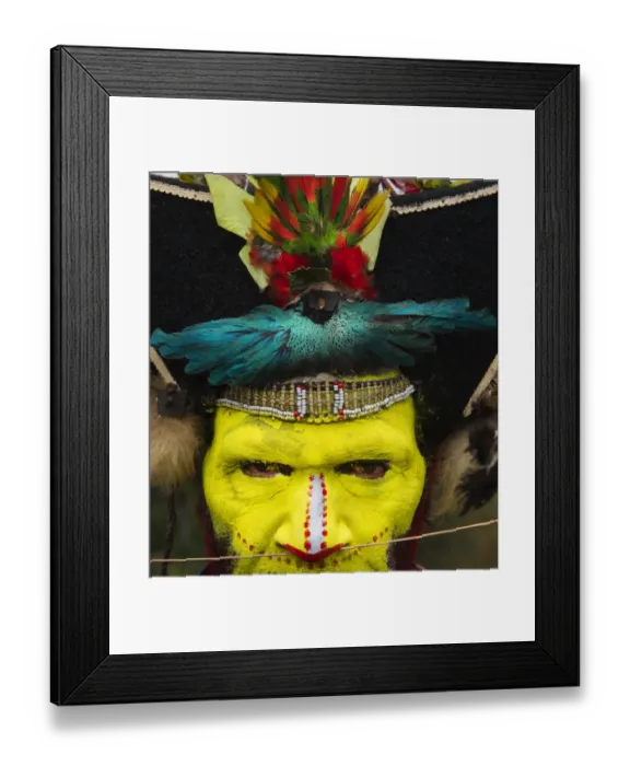 Framed Print : Timan Thumbu a Huli Wigman from Tari Southern Highlands Papua New Guinea. Head dress Framed Print : Timan Thumbu a Huli Wigman from Tari Southern Highlands Papua New Guinea. Head dress
