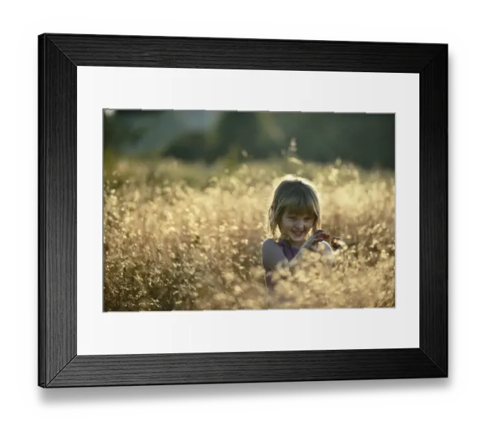 Framed Print : Young girl playing in meadow in late summer Norfolk - Model Released Framed Print : Young girl playing in meadow in late summer Norfolk - Model Released