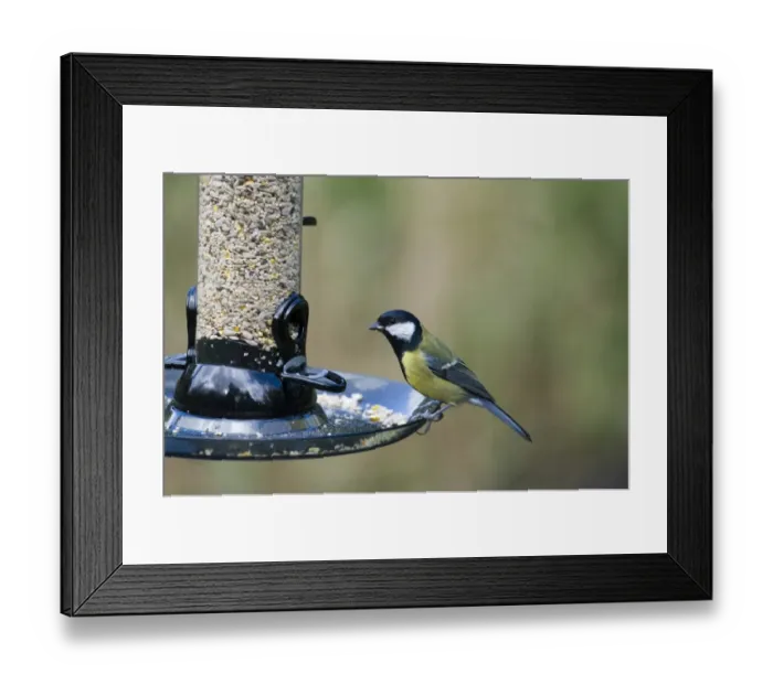 Framed Print : 005693 Framed Print : 005693