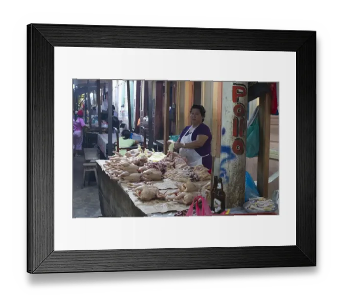 Framed Print : amazon amazonas peru south america neotropics Framed Print : amazon amazonas peru south america neotropics