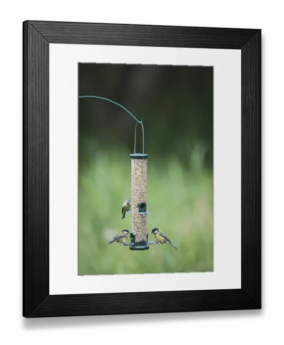 Framed Print : 005650 Framed Print : 005650