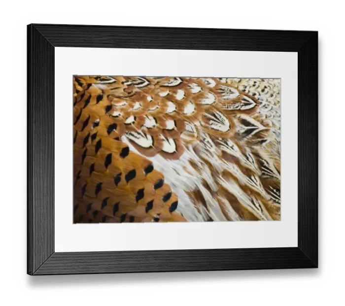 Framed Print : 002666 Framed Print : 002666