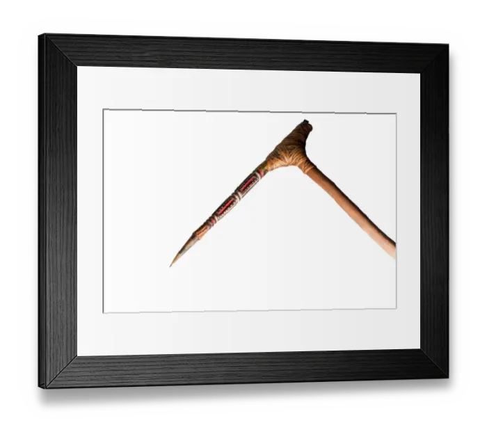 Framed Print : Fighting stick made from a Cassowary toe Papua New Guinea Framed Print : Fighting stick made from a Cassowary toe Papua New Guinea