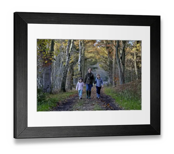 Framed Print : Mother, son and daughter on woodland walk in autumn Norfolk Framed Print : Mother, son and daughter on woodland walk in autumn Norfolk
