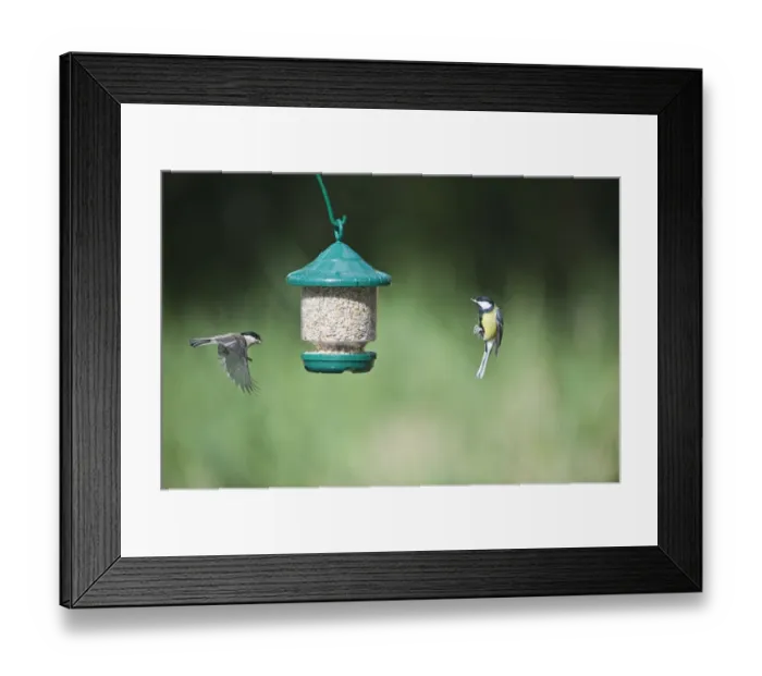Framed Print : 005708 Framed Print : 005708