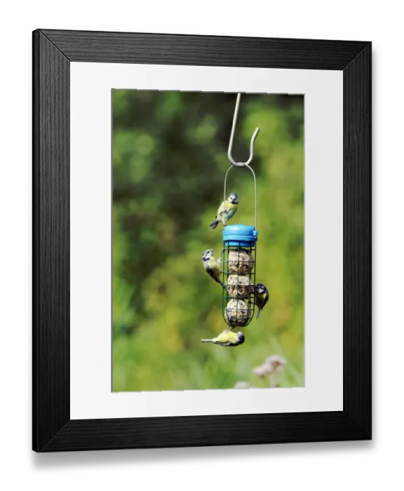 Framed Print : 004405 Framed Print : 004405