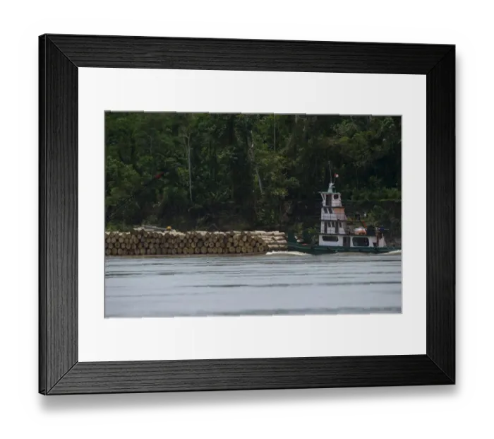 Framed Print : Logging barge on River Amazon near Iquitos Peru Framed Print : Logging barge on River Amazon near Iquitos Peru
