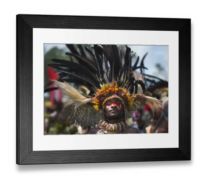 Framed Print : Performer from the Kupop Sing-sing group from Jiwaka Province Papua New Guinea performng Framed Print : Performer from the Kupop Sing-sing group from Jiwaka Province Papua New Guinea performng