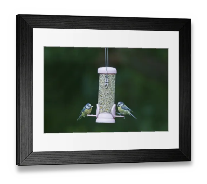 Framed Print : 004404 Framed Print : 004404