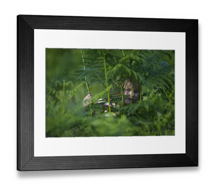 Framed Print : Young girl hiding among bracken Norfolk summer Framed Print : Young girl hiding among bracken Norfolk summer