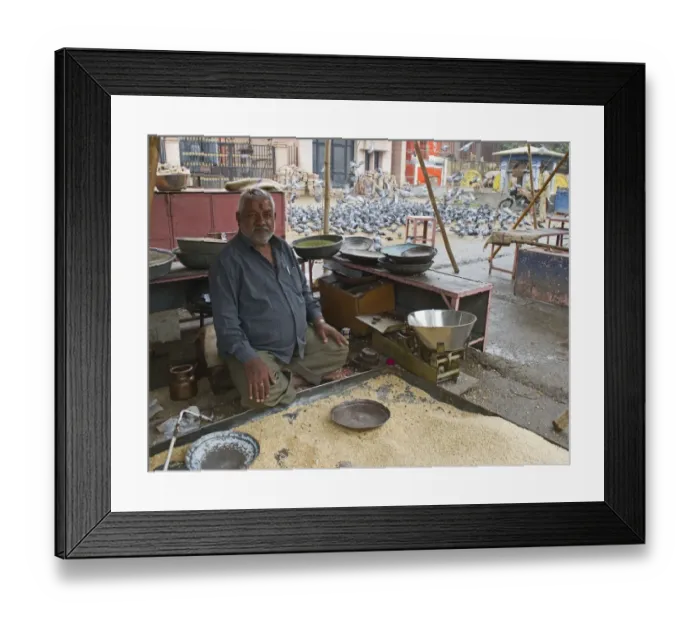 Framed Print : Hindu grain seller for pigeon feeding for religious purposes Jodphur India Framed Print : Hindu grain seller for pigeon feeding for religious purposes Jodphur India