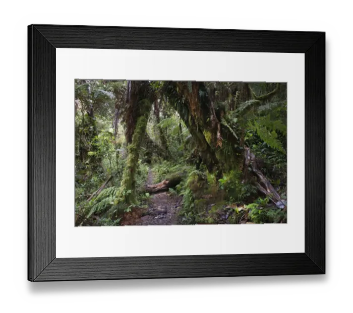Framed Print : Montane Rainforest around Mt Hagen in Western Highlands of Papua New Guinea Framed Print : Montane Rainforest around Mt Hagen in Western Highlands of Papua New Guinea