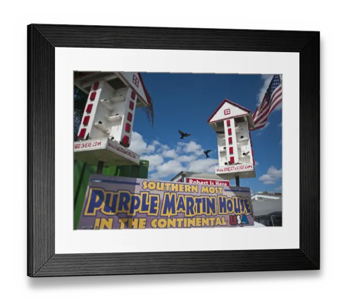 Framed Print : Purple Martin House Florida USA Framed Print : Purple Martin House Florida USA
