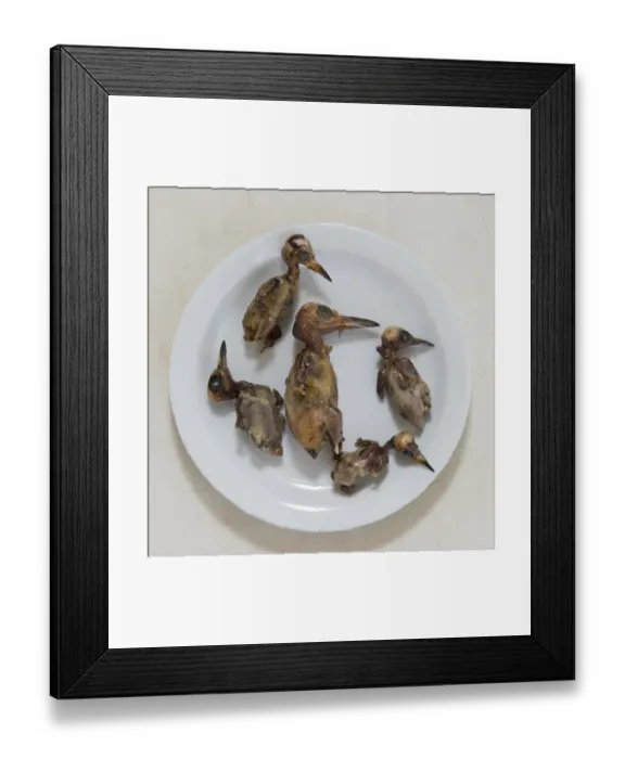 Framed Print : Ambelopoulia (means birds of the vineyards) small migratory birds prepared for eating Framed Print : Ambelopoulia (means birds of the vineyards) small migratory birds prepared for eating
