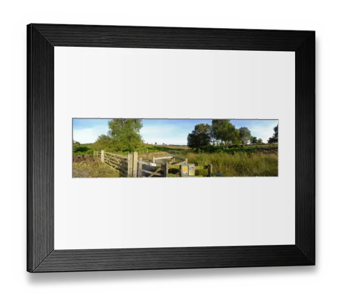 Framed Print : Lowland heath on Minsmere RSPB Reserve within the Suffolk Sandlings Suffolk in august Framed Print : Lowland heath on Minsmere RSPB Reserve within the Suffolk Sandlings Suffolk in august