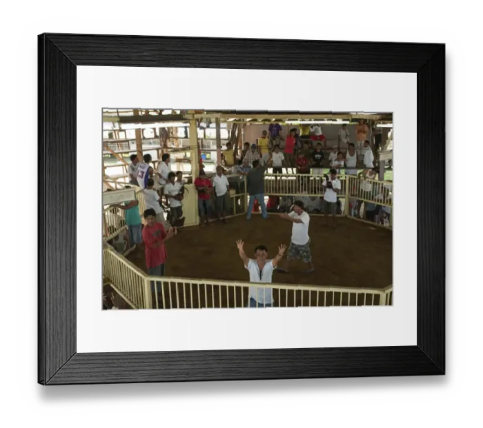 Framed Print : Betting before the start of a Cock fight Palawan Philippines Framed Print : Betting before the start of a Cock fight Palawan Philippines